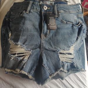 Torrid Jean Shorts